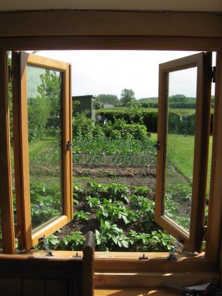 Oak casement window garden